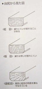 ��K���猩���}