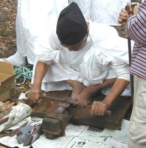 �m�~�̑L����