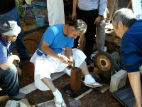 �������������ɂ�藠�o���̎w��