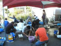 �����ꕗ�i